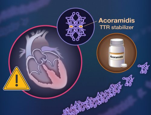 Efficacy and Safety of Acoramidis in Transthyretin Amyloid Cardiomyopathy