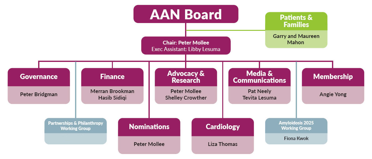 AAN Sub-committe structure